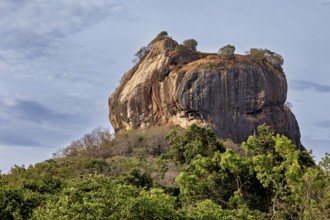 A large rock formation with trees at the top rises above lush greenery under a cloudy sky, The Lion