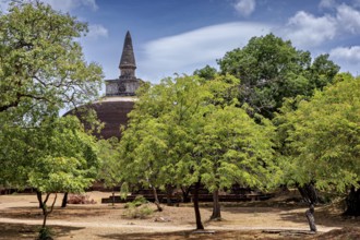 Stupa behind lush green trees on a clear day, The temples of Polonnaruwa in Sri Lanka
