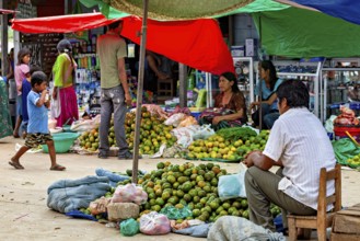 People trade vividly under colorful tents in a market full of fruit, The Rurrenabaque market in