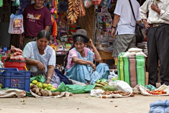 Two woman in traditional dresses and hats sell vegetables at a market, The Rurrenabaque Market in