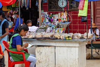 Woman sitting at a market stall with poultry and a scale in the background, The Rurrenabaque market