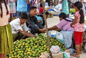 People in a group choosing fruits together at a market, The Rurrenabaque market in Bolivia