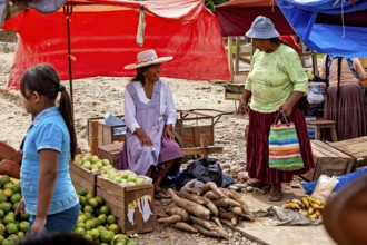 Saleswomen offer local products such as yuca and mangoes under red tarps, The Rurrenabaque market