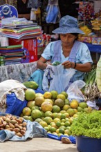 Woman with hat sorting fruits and vegetables on a market table, The Rurrenabaque market in Bolivia