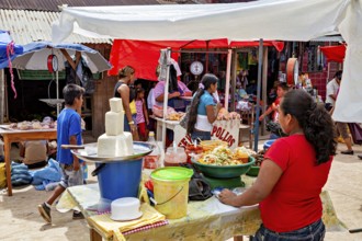 Lively market activity with people at stands under tent roofs, The Rurrenabaque market in Bolivia