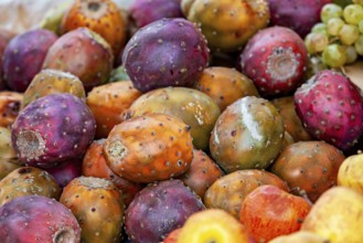 A close-up of colorful prickly pears in a market that radiate diversity and vibrancy, The fruits