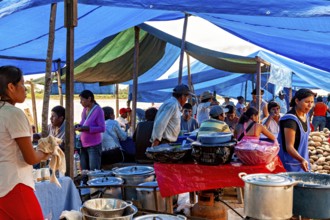 People cook and serve food under blue tarps in a busy market atmosphere, The Rurrenabaque market in