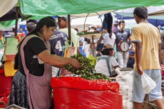 A woman sells fresh vegetables at a busy market with colorful stalls, The Rurrenabaque Market in