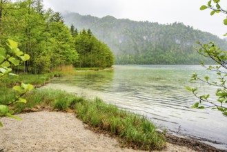 Landscape of Lake Offensee on a rainy day in spring, Salzkammergut, Austria