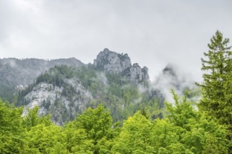 View into the mountains next to Lake Offensee on a rainy day in spring, Salzkammergut, Austria,