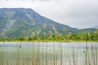 Landscape of Lake Offensee after rain when the sun comes through the clouds in spring,