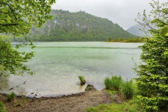 Landscape of Lake Offensee on a rainy day in spring, Salzkammergut, Austria