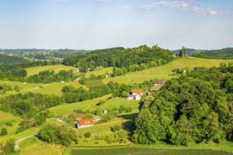 Landscape of the wine yards growing on the hills of southern styria, Austria