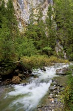 Diosaz mountain river in the gorge, Gorges de la Diosaz, Les Houches, Chamonix-Mont-Blanc,