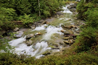 Diosaz mountain river in the gorge, Gorges de la Diosaz, Les Houches, Chamonix-Mont-Blanc,