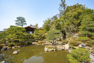 Japanese Garden with Pond, North Garden, Kitaniwa or Hokutei Garden, Ninna-ji Goths, Buddhist