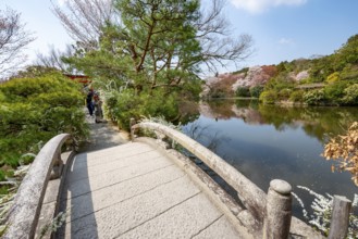 Bridge over Kyoyochi Pond in Japanese Garden, blooming cherry trees, Ryoan-ji, Zen Buddhist temple