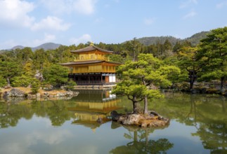 Golden Pavilion reflected in pond, Japanese garden, Golden Pavilion Temple, Kinkaku-ji reliquary,