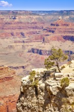 Beautiful landscape of the grand canyon, arizona