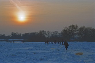 People walk across ice rink, sunset, frozen Elbe, Bleckede, Lower Saxony, Germany, February 9,