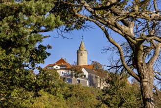 A castle with a tower surrounded by trees and branches, highlighted by a clear sky, The