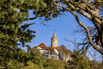 A castle with a tower, framed by trees and branches, in front of a clear autumn sky, The