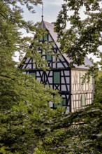 Half-timbered house hidden in thick trees, with distinctive black half-timbering and green