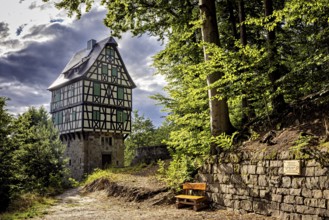 Half-timbered house in the forest, next to a paved path and a wooden bench, under sunlight with