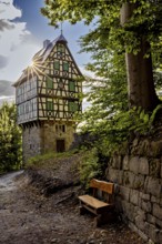 Half-timbered house in the forest, next to a wooden bench under strong sunlight, surrounded by