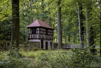 Historic half-timbered house in a dense forest, surrounded by a stone wall and lush greenery, The