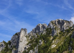 Rock formation on Scharfen, Postalm, Osterhorn Group, Salzkammergut, Province of Salzburg, Austria
