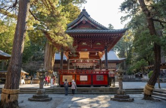 Shinto Shrine Buildings, Kitaguchi-hongu Fuji Sengen Shrine, Shinto Shrine in the Forest,