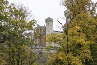 Neuschwanstein in autumn, Schwangau, Füssen, Allgäu, Bavaria, Germany