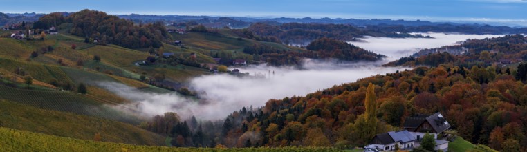 Sunrise, typical landscape in autumn with vineyards and fog, South Styrian hills, South Styrian