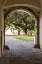 View through an archway of a large tree and a paved courtyard, gateway to the district office in