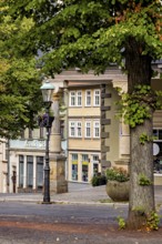 Street with trees and historic buildings, summer atmosphere in the old town, The old town of