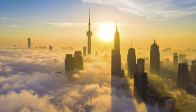 City scape emerging from a dense enveloping fog in sunrise and skyscrapers piercing the haze, big
