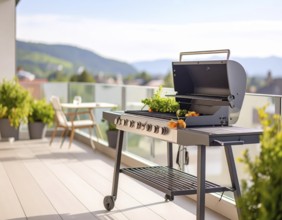Cooking vegetables on grill on the balcony, healthy lifestyle, vegetarian barbeque, leisure time in