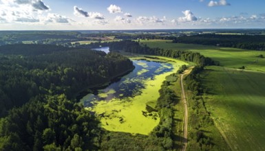 Green algae on the lake. Aerial view of nature, landscape with hills and forest in summer, cloudy