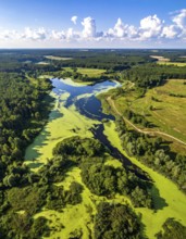 Green algae on the lake. Aerial view of nature, landscape with hills and forest in summer, cloudy