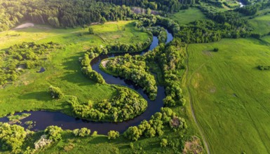 Ecology and environment concept. Green wilderness nature from above. Aerial view on meandering