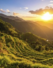Early morning light bathes Philippines rice terraces cascading down mountain slopes, beautiful
