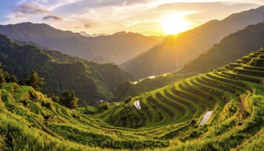 Early morning light bathes Philippines rice terraces cascading down mountain slopes, beautiful