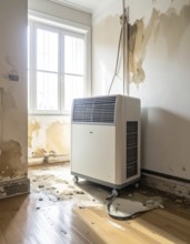 A specialized dehumidifier operates in a mold-infested room following water damage, Shell