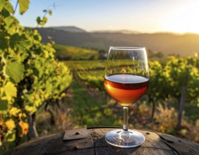A glass of 10-year-old tawny wine placed on a barrel in a vineyard restaurant, vineyard landscape