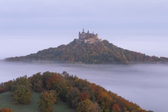 Hohenzollern Castle in a sea of fog at sunrise, autumn in the Swabian Jura