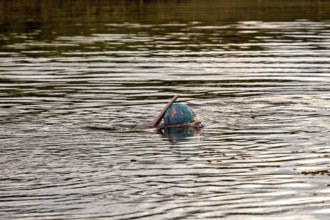 A ball floats on a calm water surface with gentle reflections of the surroundings, The Bolivian