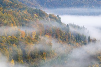 View from the Knopfmacherfelsen into the Danube valley, mixed forest, autumn colours, fog, autumn,