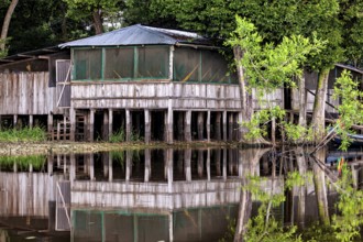 Rustic wooden huts stand on stilts by the water, surrounded by green trees, The pampas swamps in