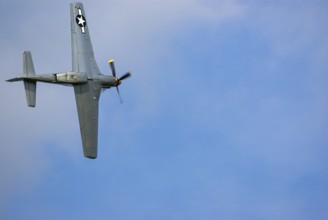 A North American P-51 Mustang of the flying group Flying Bulls, the Nooky Booky IV during an air